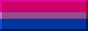 Bisexual Bisexual
